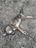 IMG_2580.jpeg IMG_2580.jpeg